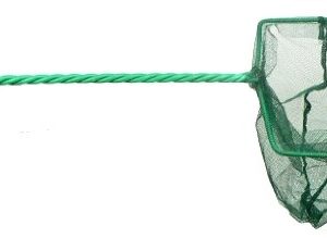 SALABRE VERDE 20 x 15 cm. **