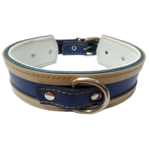 COLLAR GALGO BLANCO BORDE AZUL 50X4CM - Imagen 5