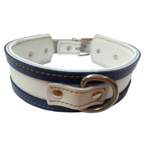 COLLAR GALGO BLANCO BORDE AZUL 50X4CM - Imagen 6
