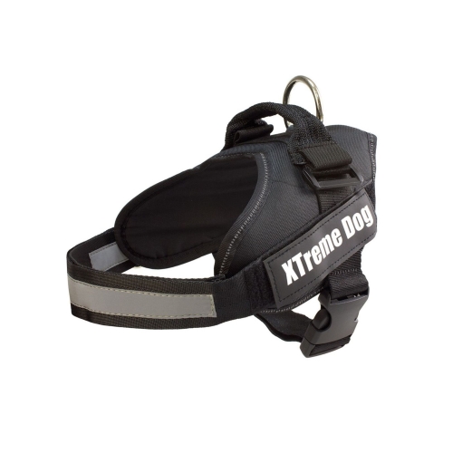 ARNES XTREME DOG AZUL XL (80-110cm) - Imagen 2