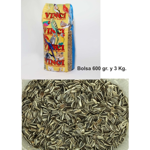 PIPAS IREGUI VINCI 3 KG. -3- - Imagen 2
