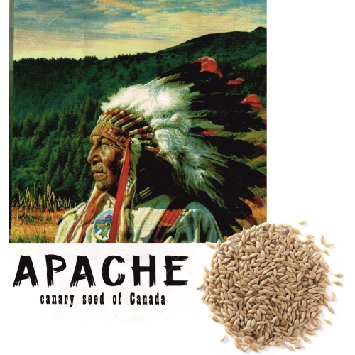 ALPISTE CANADA APACHE 1 KG. - Imagen 2