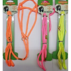 ARNES+RAMAL NYLON EXPOSICION **