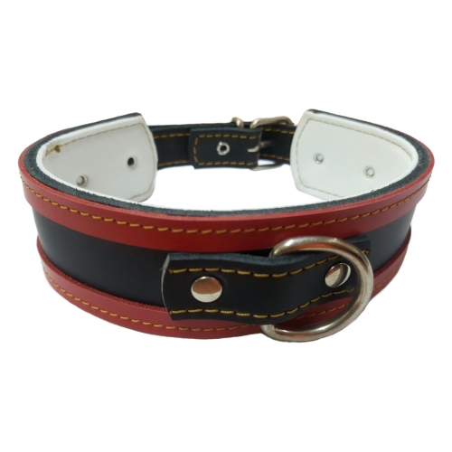 COLLAR GALGO BLANCO BORDE AZUL 50X4CM - Imagen 3