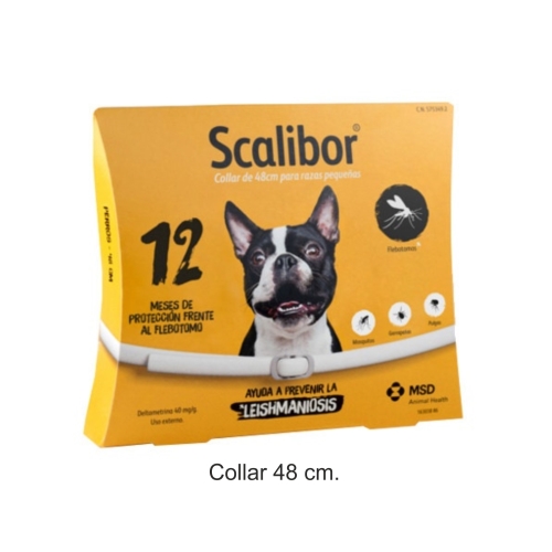 COLLAR SCALIBOR 65 CM. 12 MESES