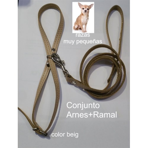 ARNES Y AMARRE RAZAS PEQUEÑAS. BEIG - Imagen 3