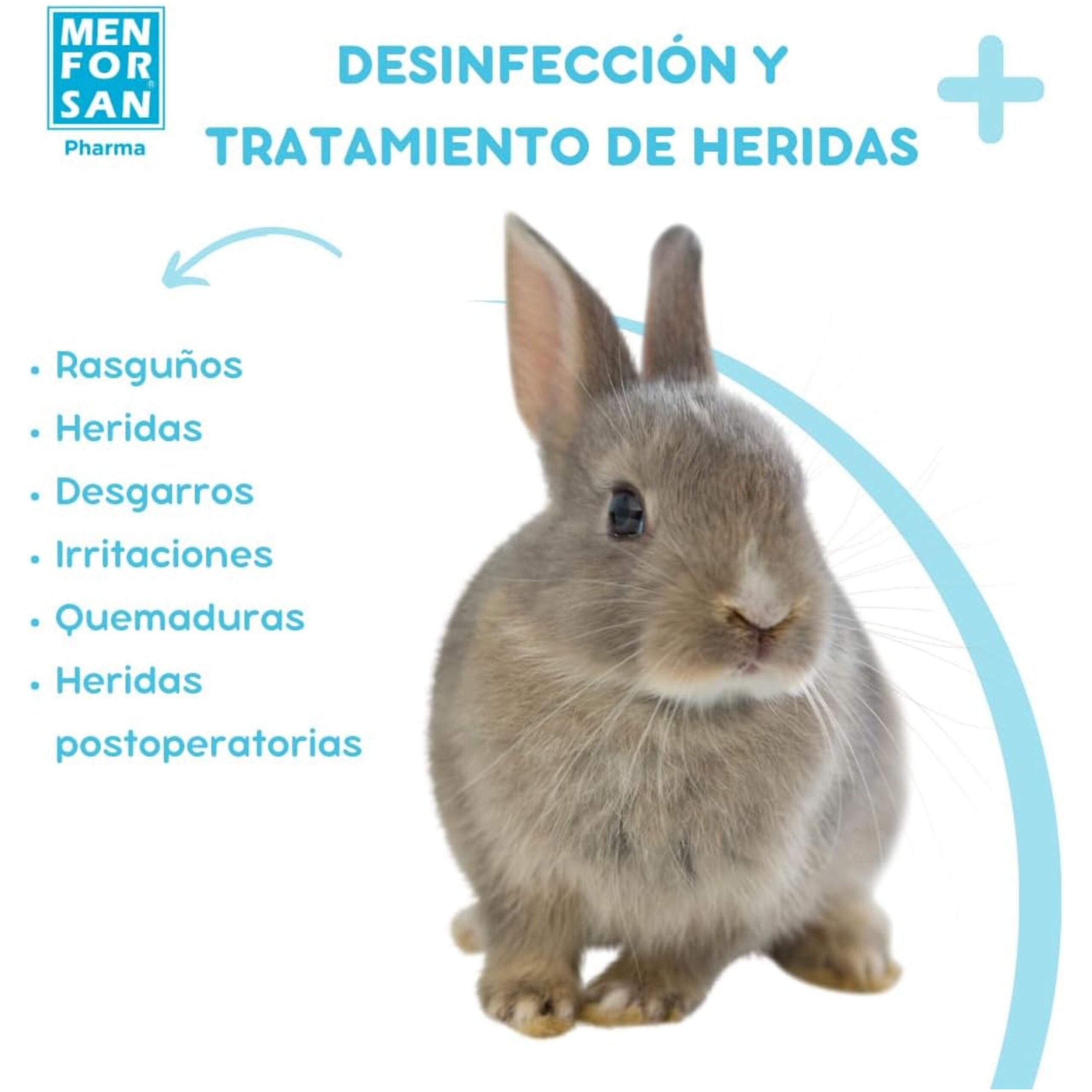 SPRAY ANTISEPTICO CLOREXIDINA 60ml MENFORSAN - Imagen 5