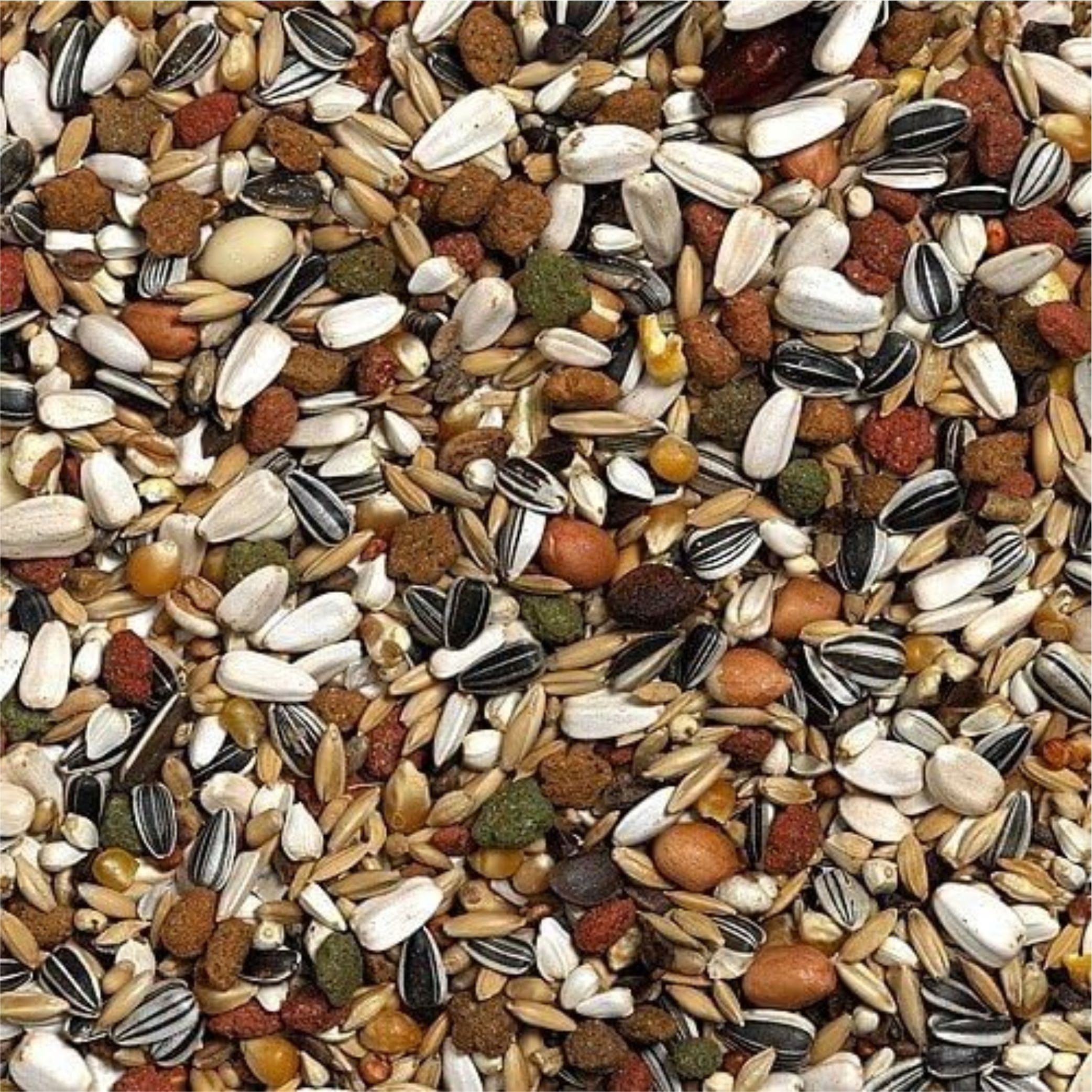 LOROS AFRICAN PARROT MIX 2,5 KG. - Imagen 2