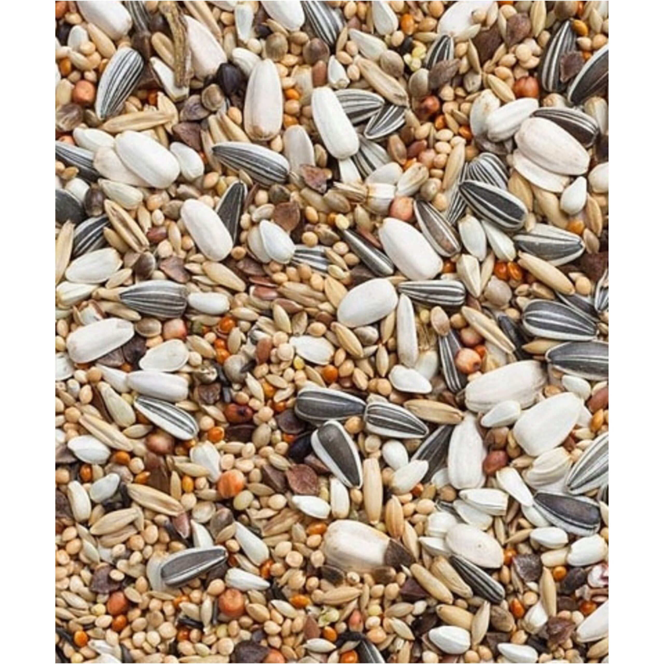 NINFAS Y AGAPORNIS PRESTIGE 4 KG. - Imagen 2