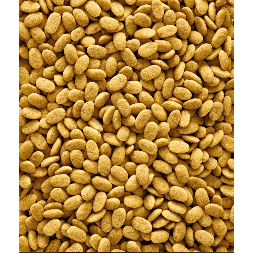 NUTRIBIRD P15 ORIGINAL 10 KG. - Imagen 6