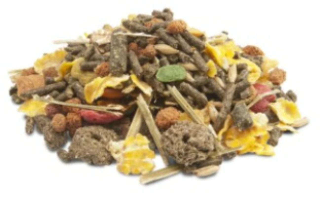 COBAYA CRISPY MUESLI 9 KG. VERSELE-LAGA - Imagen 8