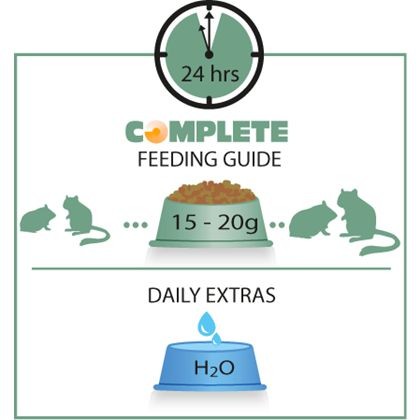 HAMSTER & GERBIL COMPLETE 500gr. Versele-Laga - Imagen 8