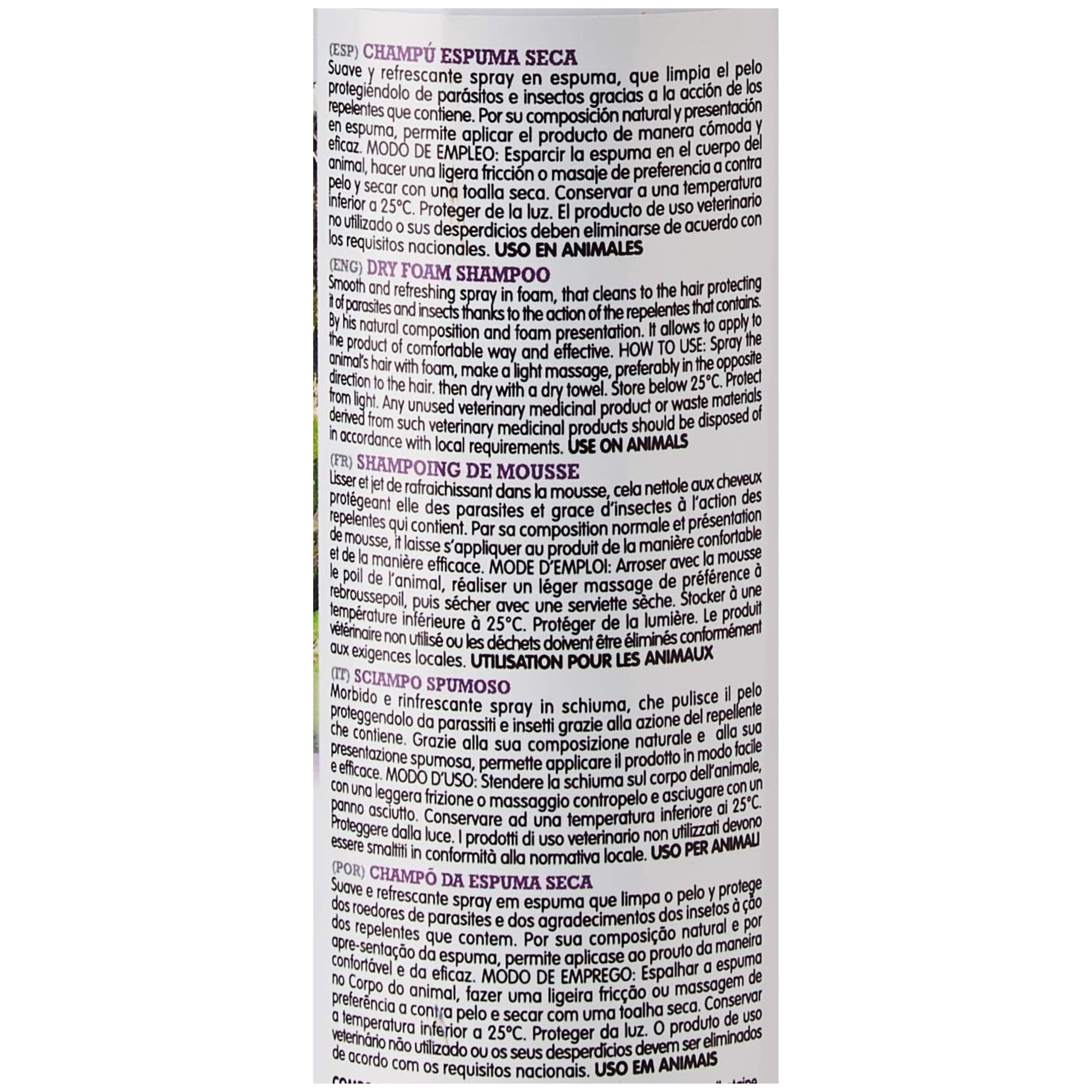 CHAMPU ESPUMA SECA 200ml.Arquifresh - Imagen 3