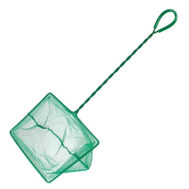 SALABRE VERDE 15 x 12.5 cm. - Imagen 2