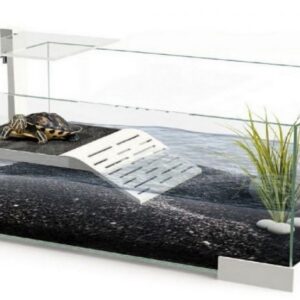 TORTUGUERA 40 PLUS TARTARIUM