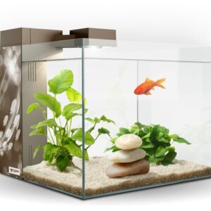 ACUARIO ZENEO 30 ECLAT