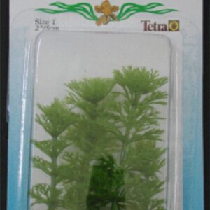 PLANTA  AMBULIA FOREGROUND 5 CM. ***