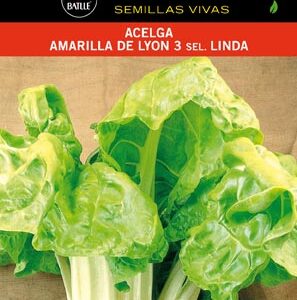 ACELGA  AMARILLA DE LYON.LINDA SOBRE