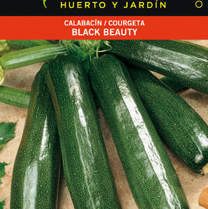 CALABACIN BLACK BEAUTY SOBRE