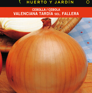 CEBOLLA VALENCIANA TARDIA SEL.FALLERA