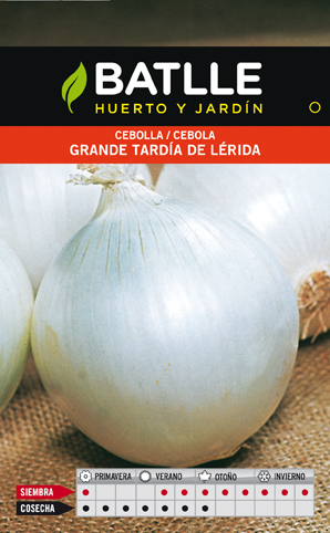CEBOLLA GRANDE TARDIA DE LERIDA SOBRE