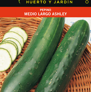 PEPINO ASHLEY MEDIO LARGO SOBRE