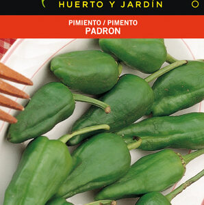 PIMIENTO DEL PADRON SOBRE