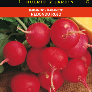 RABANITO REDONDO ROJO SEL.ESPECIAL SOBRE