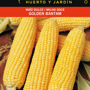 MAIZ DULCE GOLDEN BANTAN SOBRE