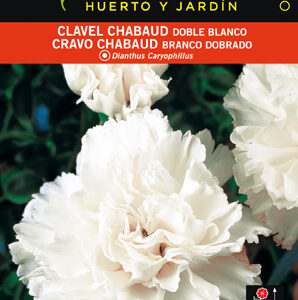 CLAVEL CHABAUD BLANCO SOBRE