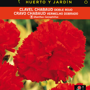 CLAVEL CHABAUD ROJO SOBRE