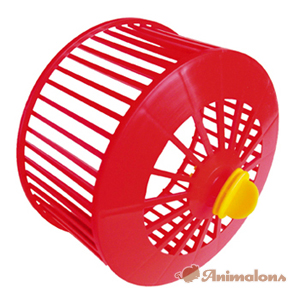 NORIA HAMSTER